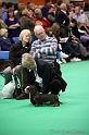 Crufts2011_2 1212